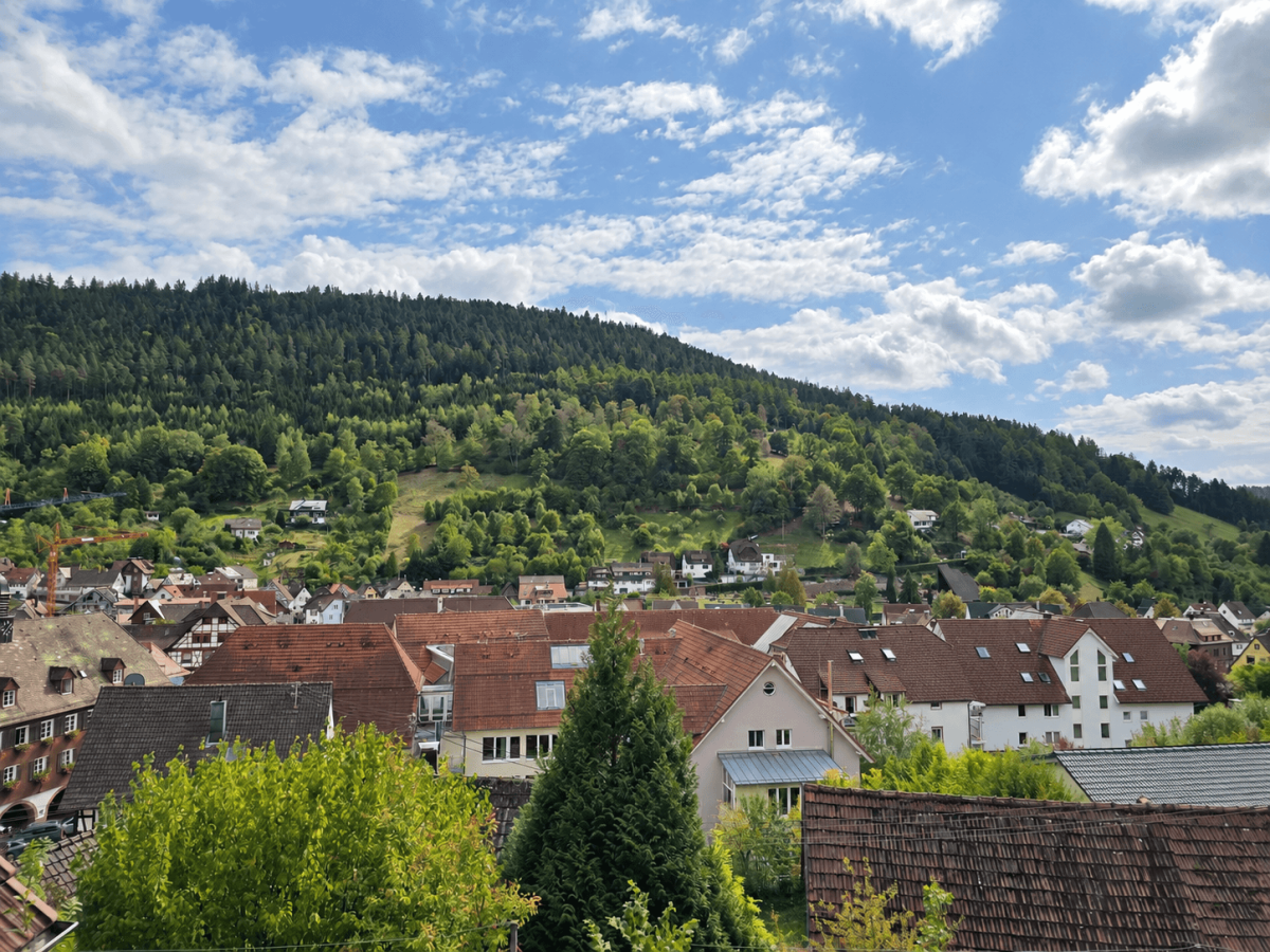 Ausblick vom Garten